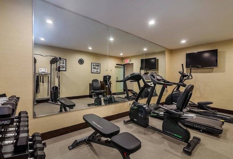 فندق Best Western Plus Plaza