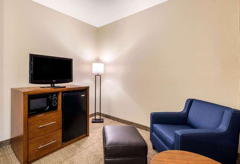 هتل Comfort Inn & Suites Iah Bush Airport – East