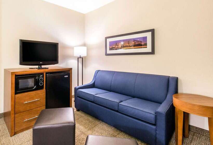 هتل Comfort Inn & Suites Iah Bush Airport – East