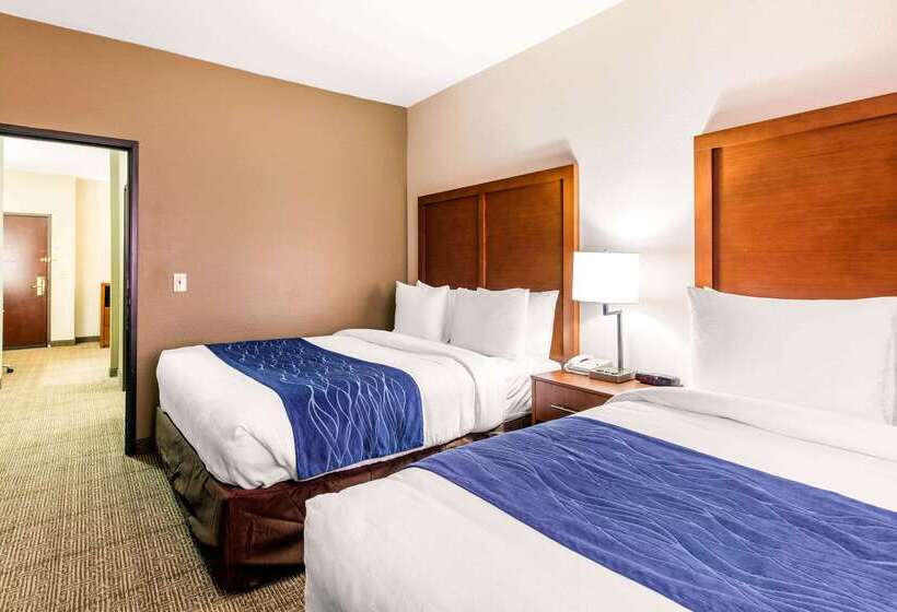 هتل Comfort Inn & Suites Iah Bush Airport – East