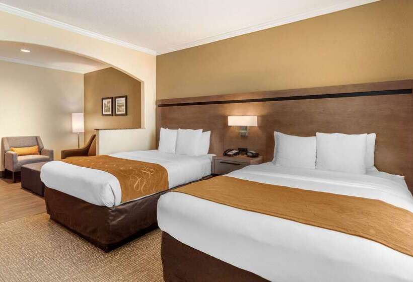 בית מלון כפרי Comfort Suites Baytown I   10