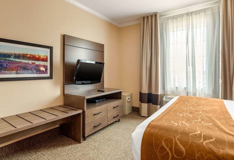 בית מלון כפרי Comfort Suites Baytown I   10