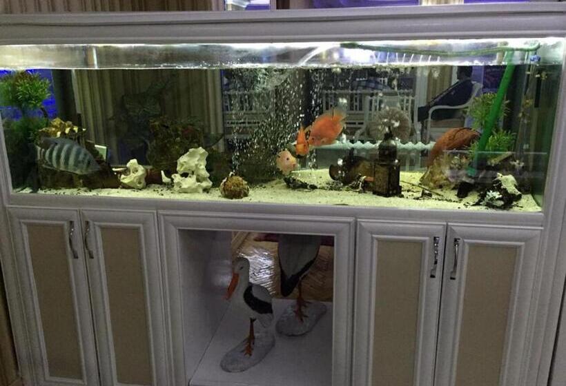 Fotos del hotel Grand Mark:  36