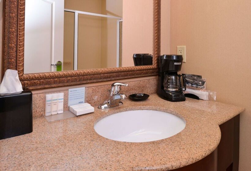 酒店 Hampton Inn By Hilton Litchfield