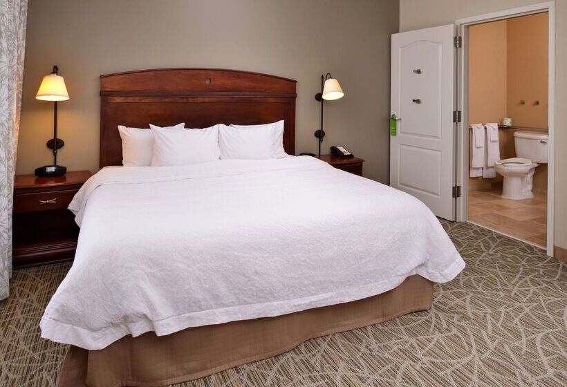 酒店 Hampton Inn By Hilton Litchfield