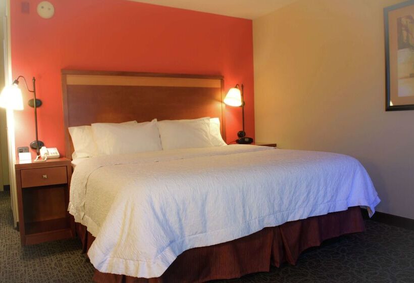 ホテル Hampton Inn Montgomery South Airport