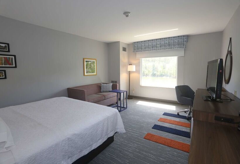 Отель Hampton Inn Owego