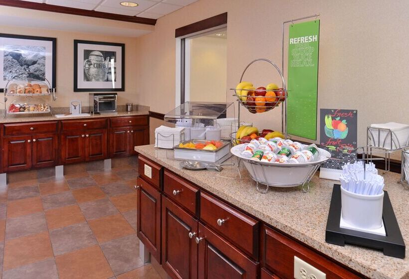 هتل Hampton Inn & Suites Daytonvandalia
