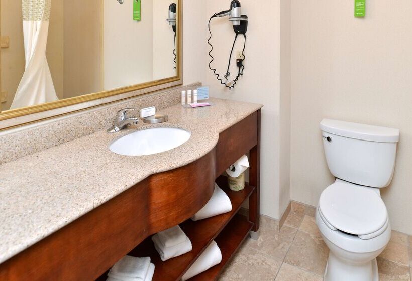 هتل Hampton Inn & Suites Daytonvandalia