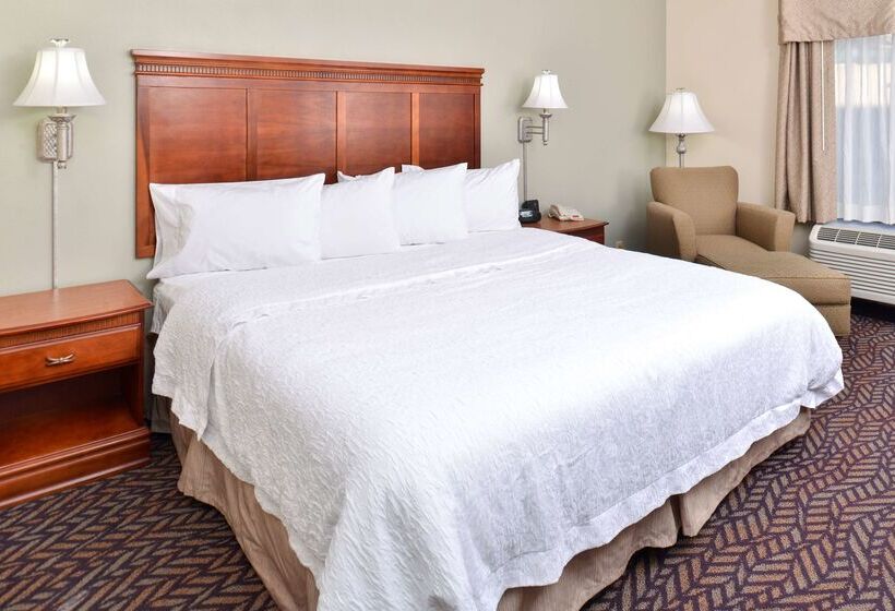 هتل Hampton Inn & Suites Daytonvandalia