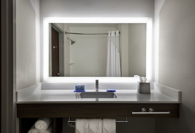 هتل Holiday Inn Express & Suites Charlotte Arpt Belmont, An Ihg