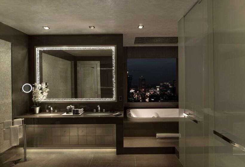 Fotos del hotel Hyatt Centric Levent Istanbul:  28