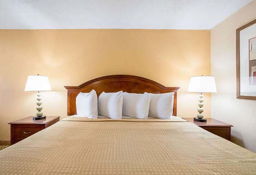 هتل Rodeway Inn Metro Airport