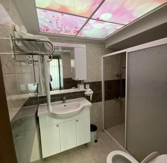 Fotos del hotel Rougenoire:  13