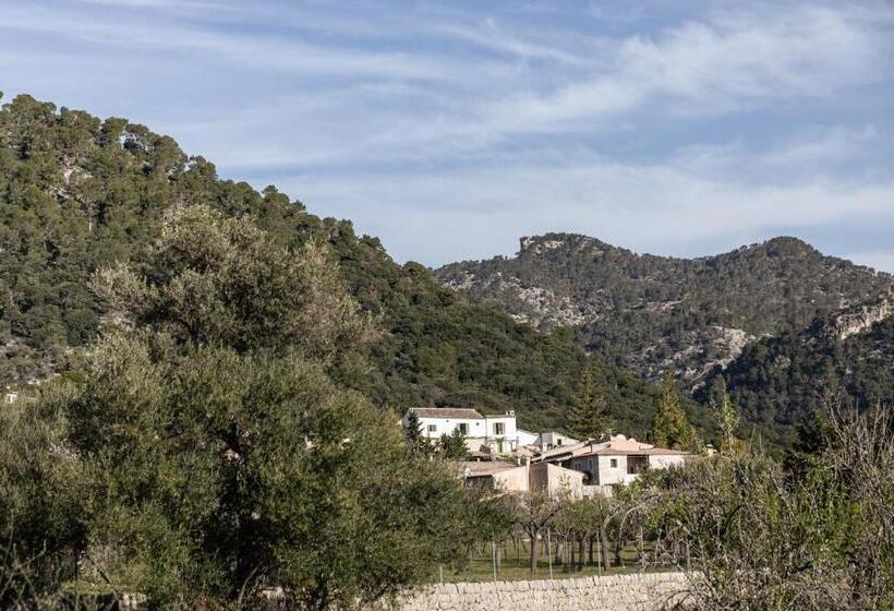 فندق ريفى Finca Can Beneit