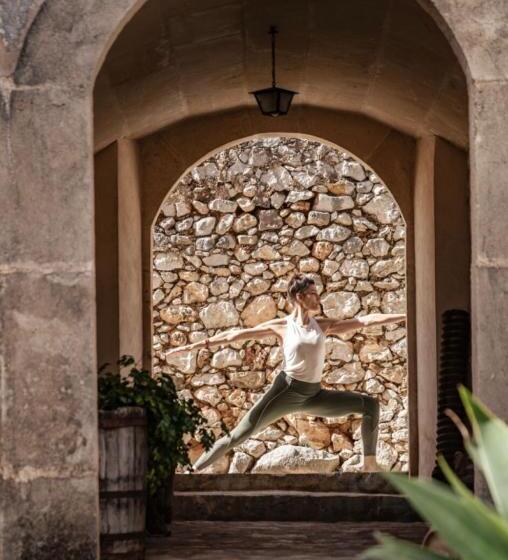 فندق ريفى Finca Can Beneit
