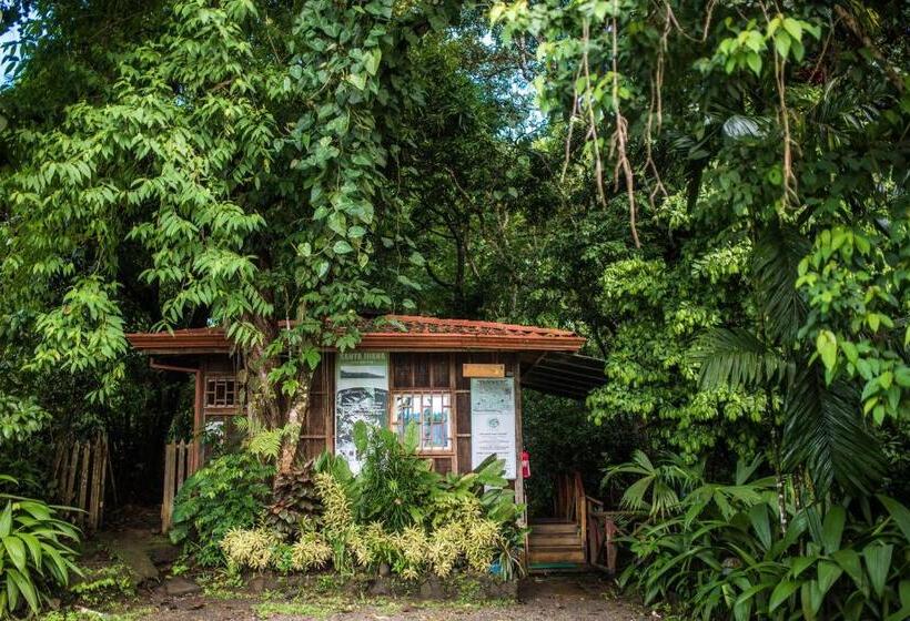 هتل Si Como No Resort & Wildlife Refuge