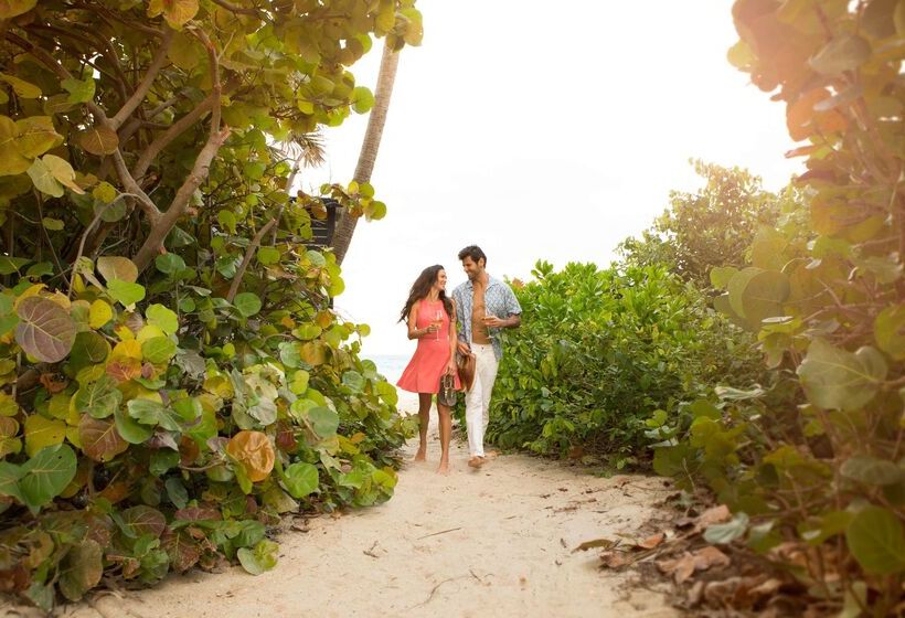 هتل Sole Miami A Noble House Resort