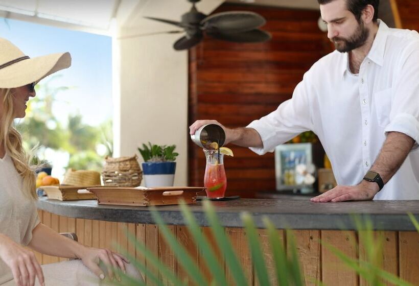 هتل Sole Miami A Noble House Resort