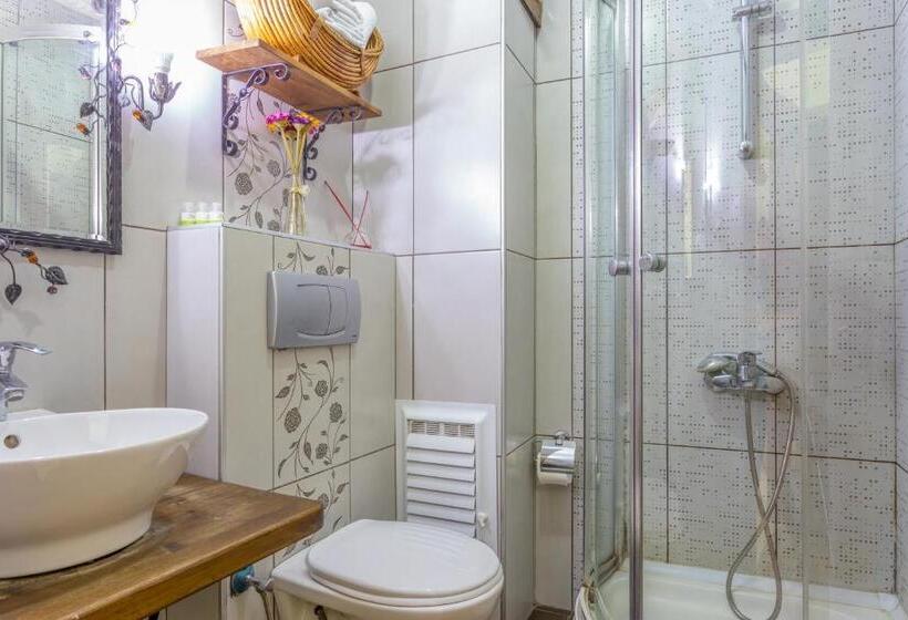 Fotos del hotel Sphendon:  13