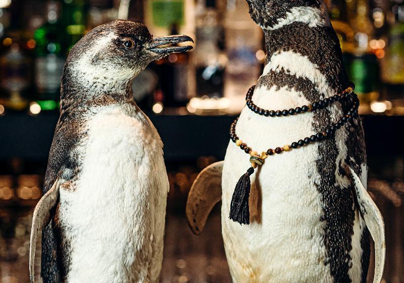 Hux Hotel, Kensington