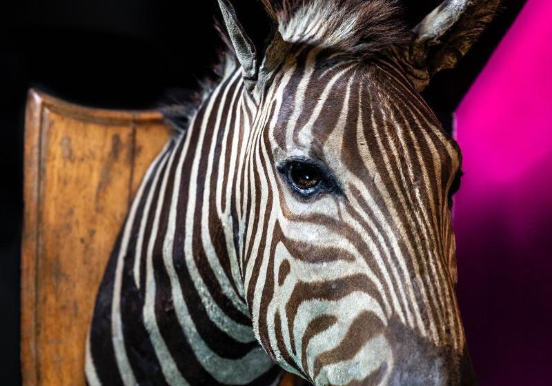 Fotos del hotel The Hux:  37