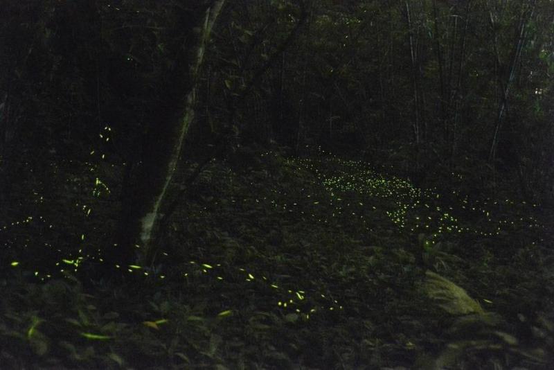 هتل Chambord Castle