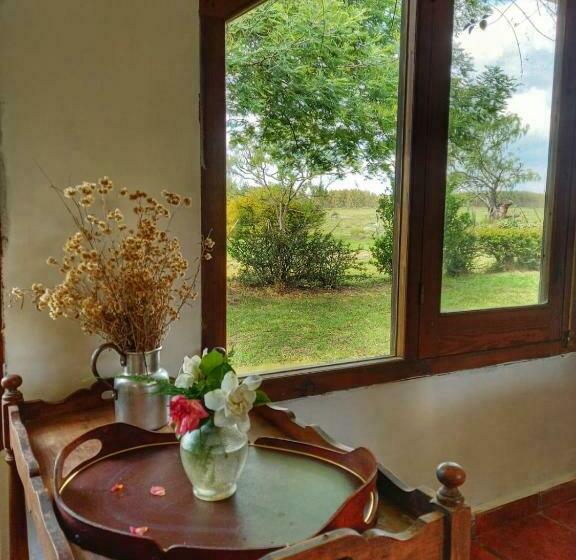 تختخواب و صبحانه Estancia Turística El Ombú