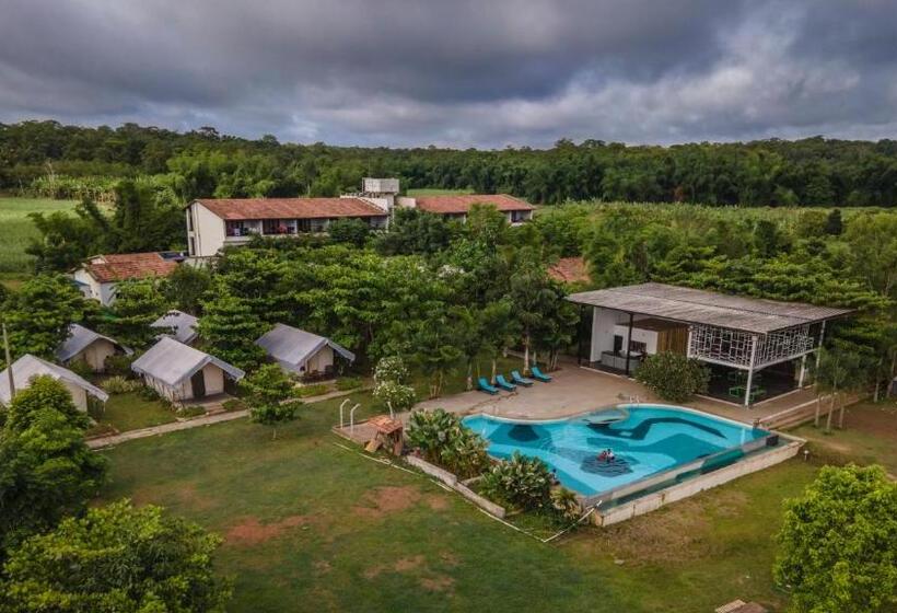 酒店 Dandeli Tiger Cottages