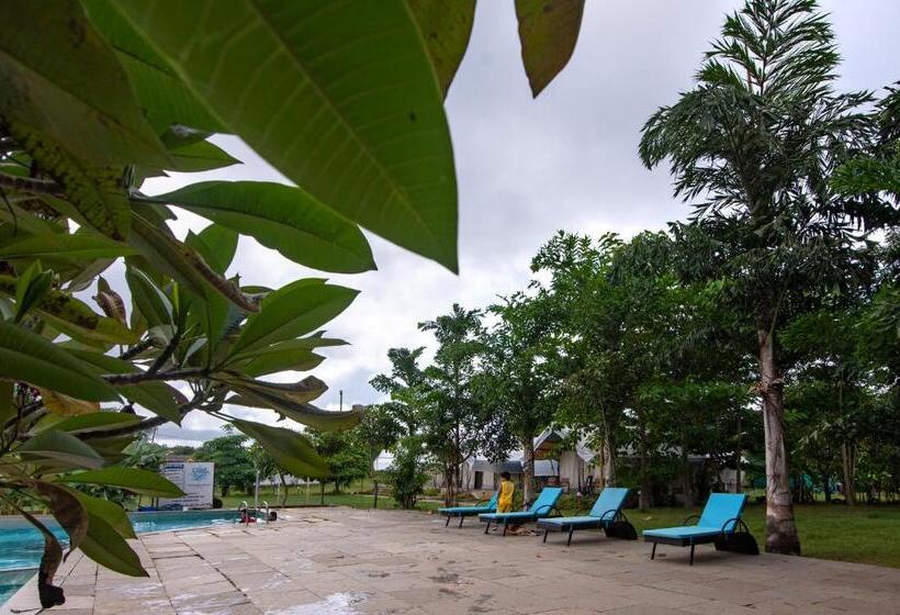 酒店 Dandeli Tiger Cottages