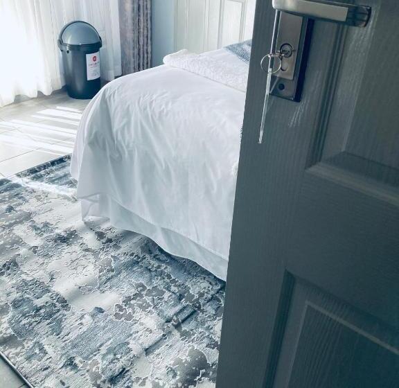 بنسيون President Guest Lodge