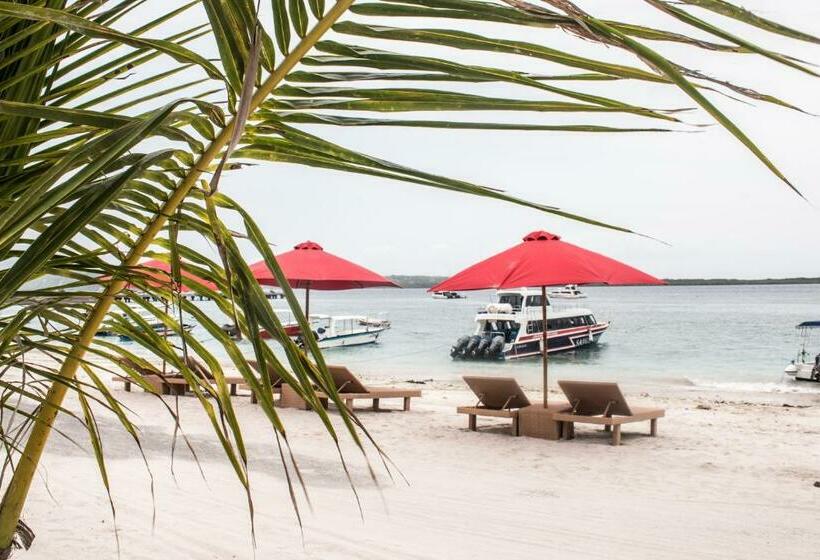 Отель Maruti Beach Club