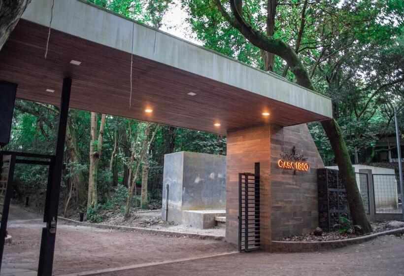 هتل Casa 1800 Cerro Verde