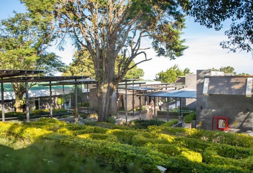 هتل Casa 1800 Cerro Verde