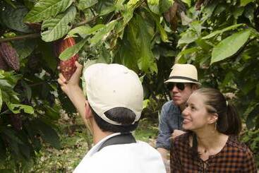 هتل Hacienda Bambusa