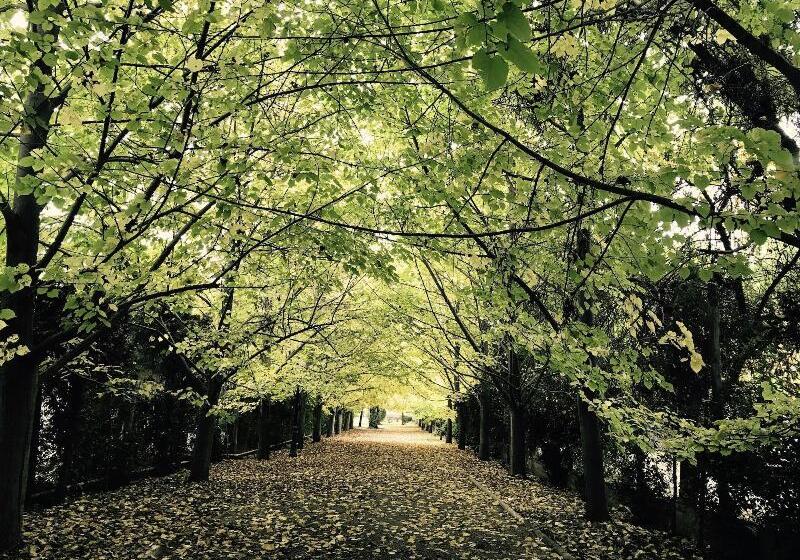 هتل Susana Balbo Winemaker´s House