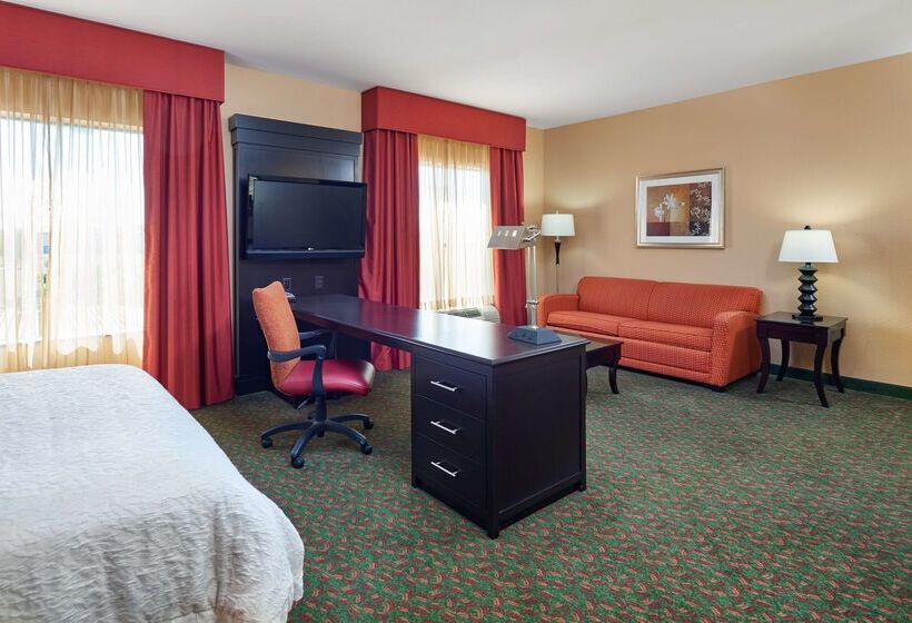 Hampton Inn & Suites Waco South