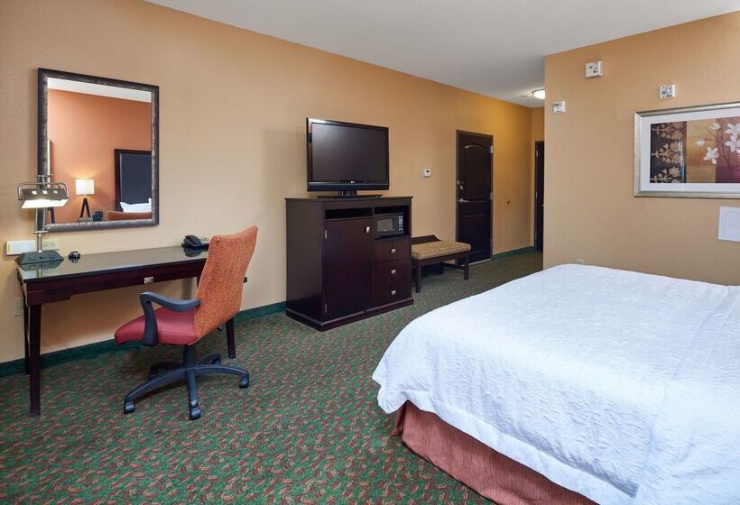 Hampton Inn & Suites Waco South