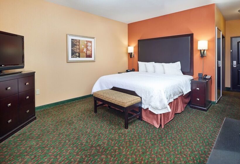 Hampton Inn & Suites Waco South