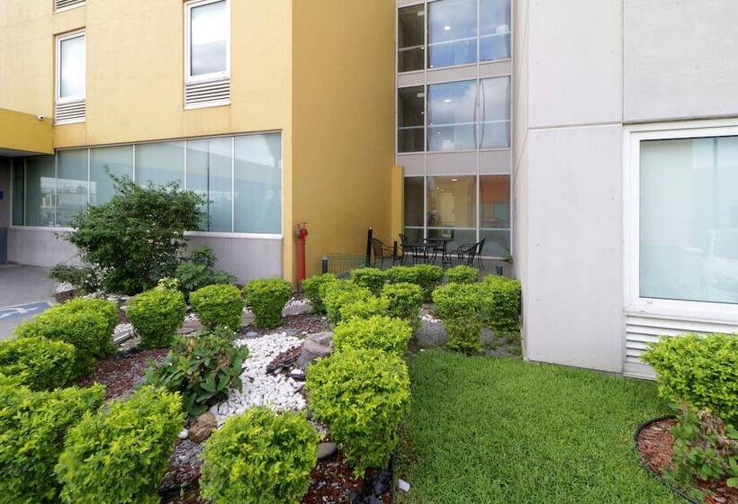 Fotos del hotel City Express Saltillo Sur:  17