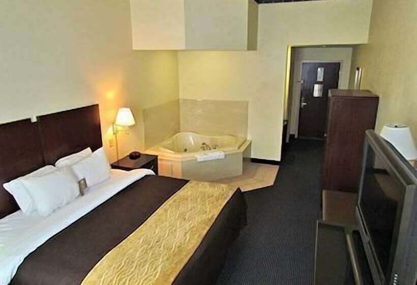 酒店 Comfort Inn & Suites Ft.jackson Maingate