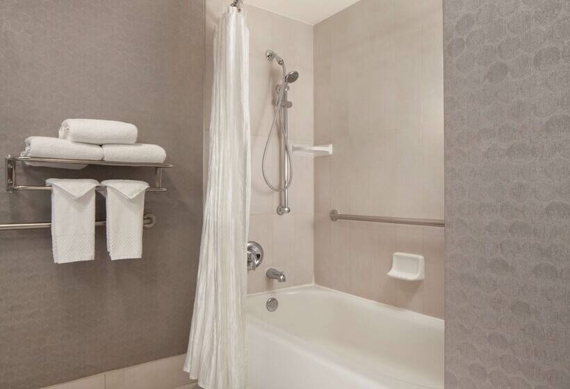 هتل Doubletree By Hilton  El Paso Downtown