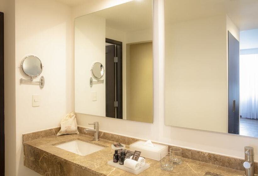 Fotos del hotel Fiesta Inn Insurgentes Sur:  13