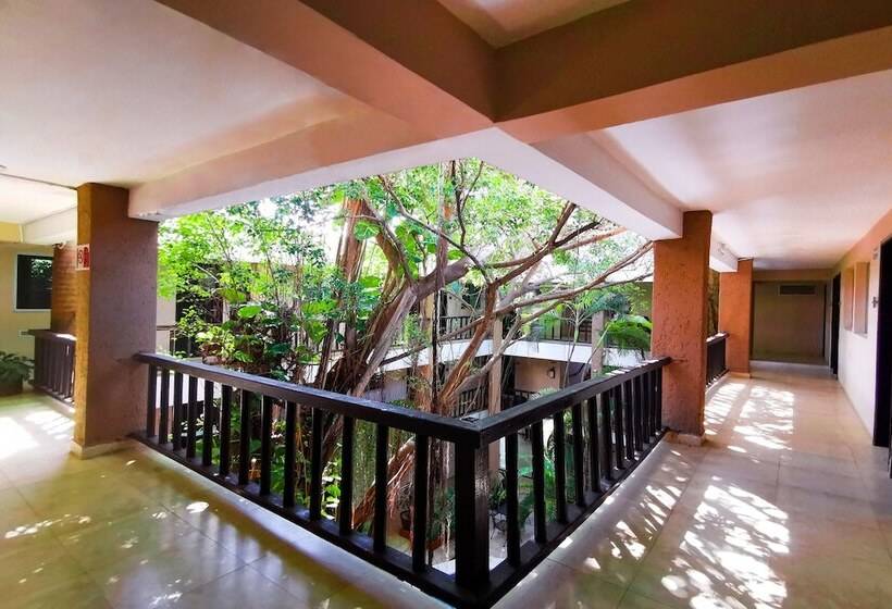 Fotos del hotel Grand  Colonial Cancun:  16