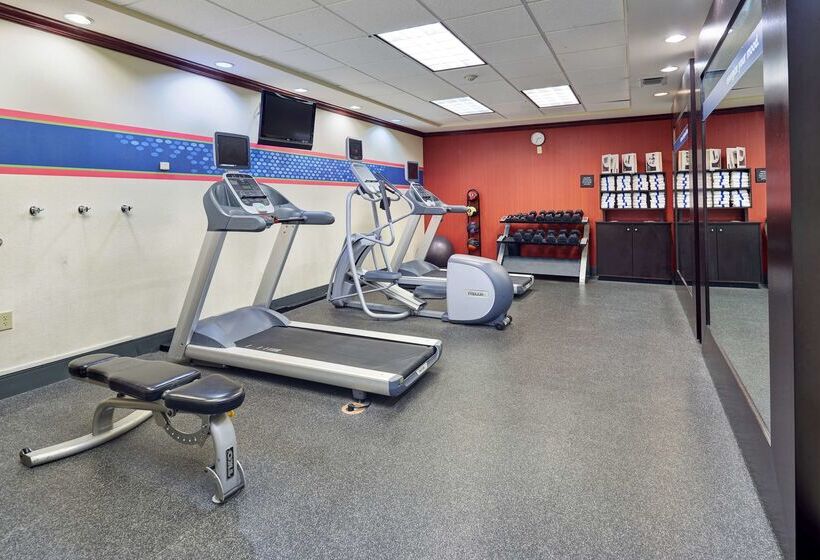 هتل Hampton Inn & Suites Austin South/buda