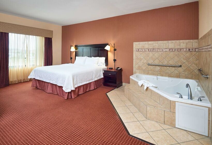 هتل Hampton Inn & Suites Austin South/buda