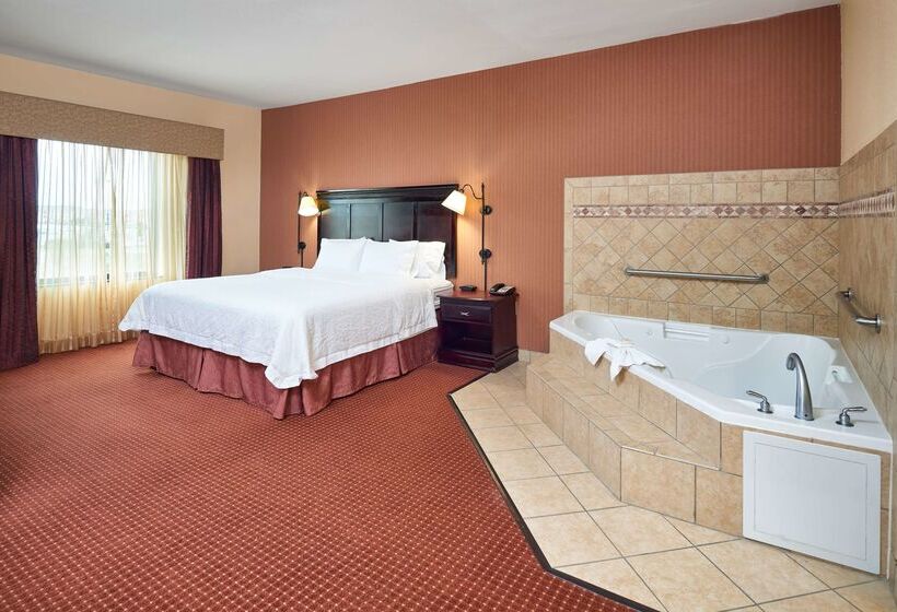 Hotel Hampton Inn And Suites Austin South Buda