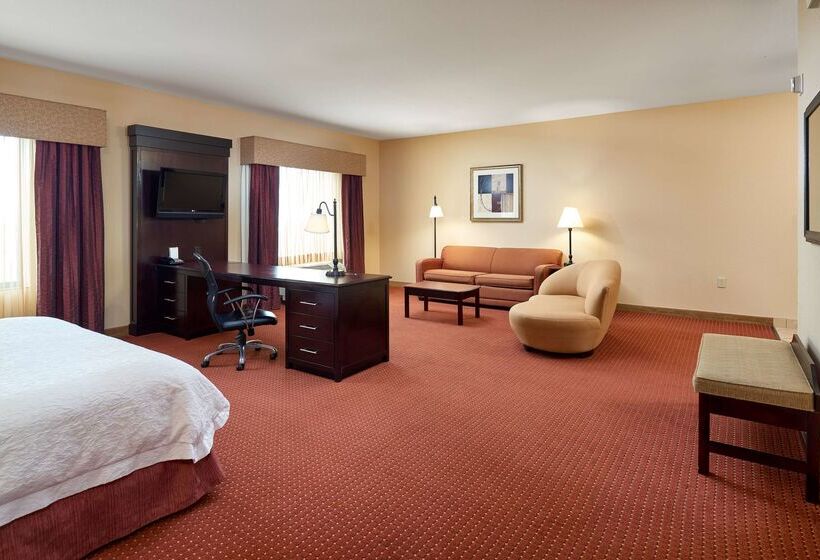 Hotel Hampton Inn And Suites Austin South Buda