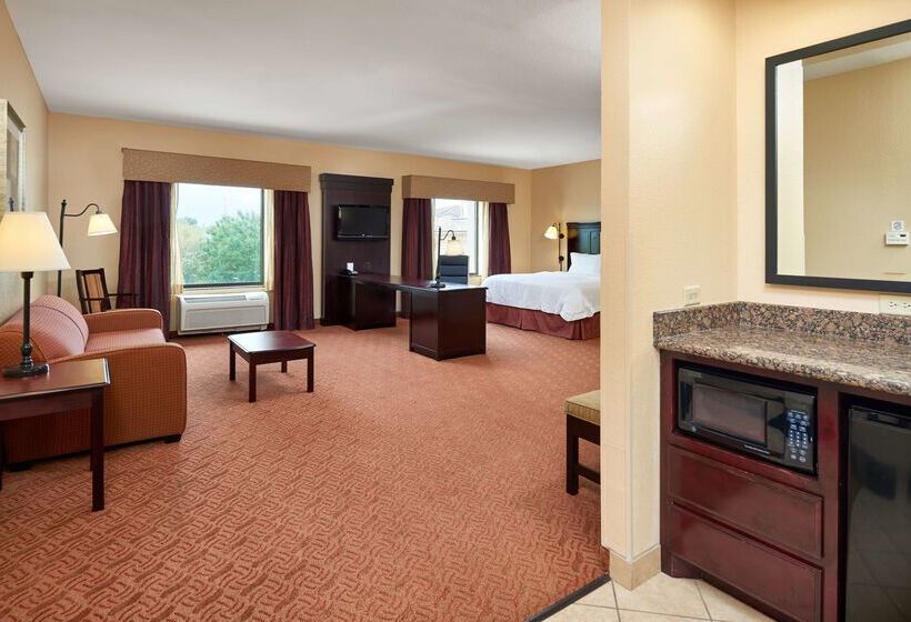 هتل Hampton Inn & Suites Austin South/buda