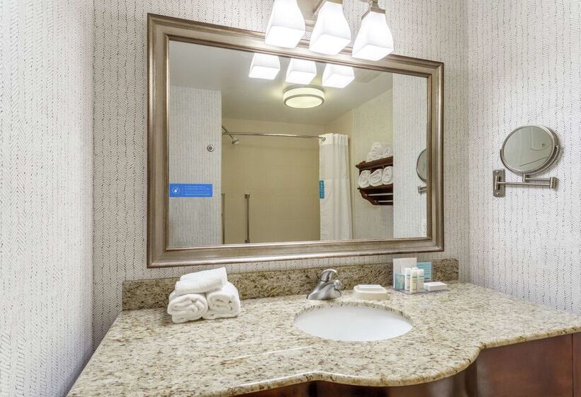 هتل Hampton Inn & Suites Saratoga Springs Downtown